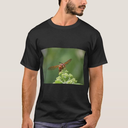 Cicada Killer T-Shirt (Vorderseite)