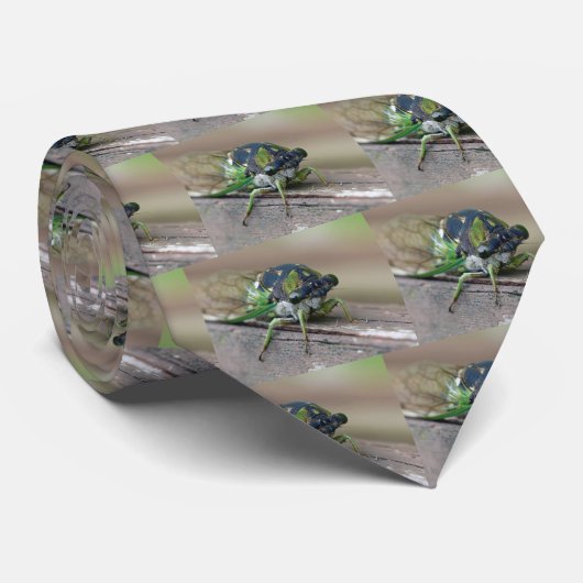 Cicada Krawatte (Gerollt)