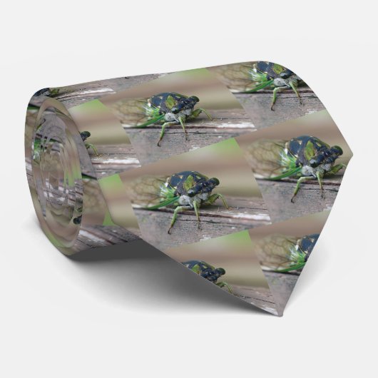 Cicada Krawatte (Gerollt)