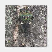 Cicada Magnet (Vorne)