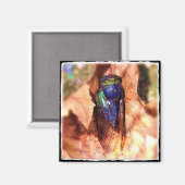Cicada Magnet (Vorderseite/Rückseite)