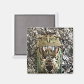 Cicada Magnet (Vorderseite/Rückseite)