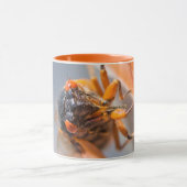 Cicada Mania Magicicada Tasse (Zentrum)