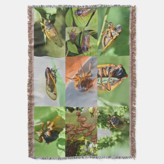 Cicada Mania werfen Decke (Vorderseite Vertikal)