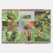 Cicada Mania werfen Decke (Vorderseite)