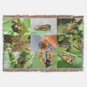 Cicada Mania-Wurf Decke