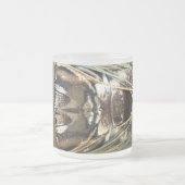 Cicada Mattglastasse (Mittel)