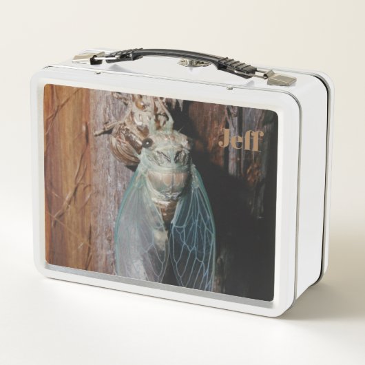 Cicada Metall Brotdose (Rückseite)