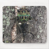 Cicada Mousepad (Vorne)