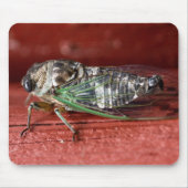 Cicada Mousepad (Vorne)