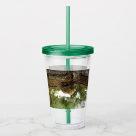 Cicada Muschel. Es war in Eile. Acryltrinkbecher