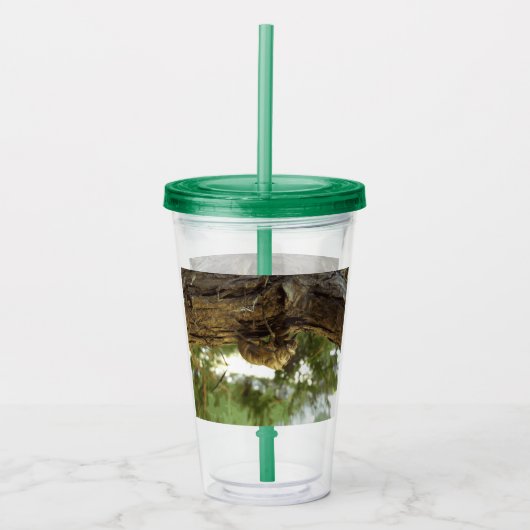 Cicada Muschel. Es war in Eile. Acryltrinkbecher (Vorderseite)