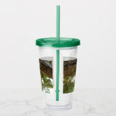 Cicada Muschel. Es war in Eile. Acryltrinkbecher (Rechts)