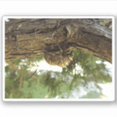 Cicada Muschel. Es war in Eile. Aufkleber (Vorderseite)