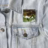 Cicada Muschel. Es war in Eile. Button (Beispiel)