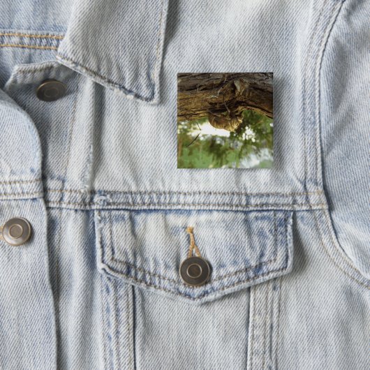 Cicada Muschel. Es war in Eile. Button (Beispiel)