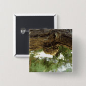 Cicada Muschel. Es war in Eile. Button (Vorne & Hinten)