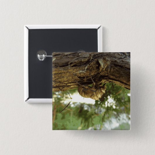 Cicada Muschel. Es war in Eile. Button (Vorne & Hinten)