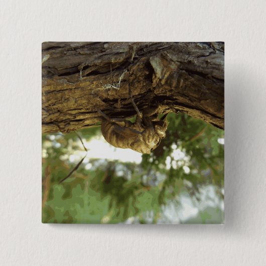 Cicada Muschel. Es war in Eile. Button (Vorderseite)