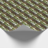 Cicada Muschel. Es war in Eile. Geschenkpapier (Ecke)