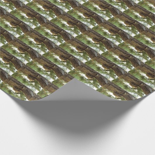 Cicada Muschel. Es war in Eile. Geschenkpapier (Ecke)