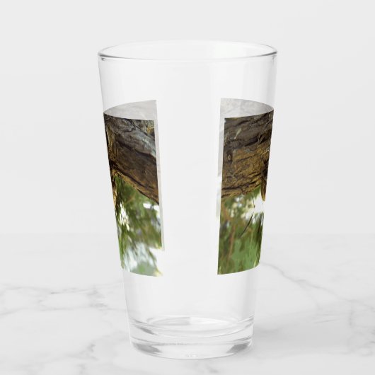 Cicada Muschel. Es war in Eile. Glas (Links)