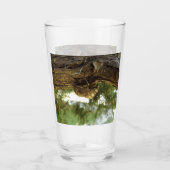 Cicada Muschel. Es war in Eile. Glas (Vorderseite)