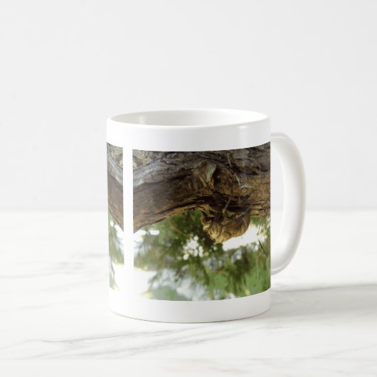 Cicada Muschel. Es war in Eile. Kaffeetasse (VorderseiteRechts)