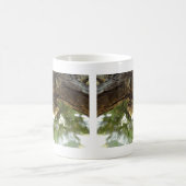 Cicada Muschel. Es war in Eile. Kaffeetasse (Mittel)