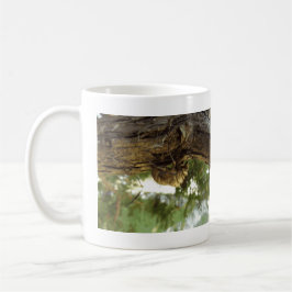 Cicada Muschel. Es war in Eile. Kaffeetasse