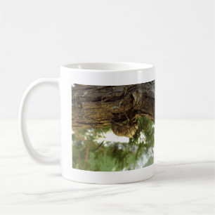 Cicada Muschel. Es war in Eile. Kaffeetasse