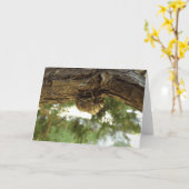 Cicada Muschel. Es war in Eile. Karte (Gelbe Blume)