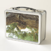 Cicada Muschel. Es war in Eile. Metall Brotdose (Rückseite)