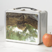 Cicada Muschel. Es war in Eile. Metall Brotdose (Beispiel)