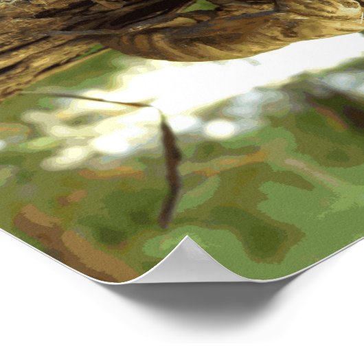 Cicada Muschel. Es war in Eile. Poster (Ecke)