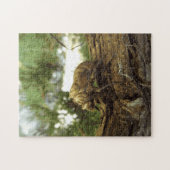 Cicada Muschel. Es war in Eile. Puzzle (Horizontal)