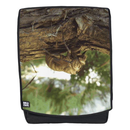 Cicada Muschel. Es war in Eile. Rucksack (Vorderseite)