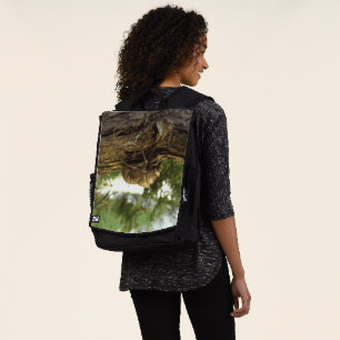 Cicada Muschel. Es war in Eile. Rucksack