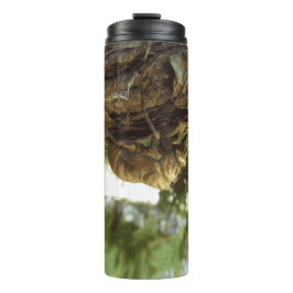 Cicada Muschel. Es war in Eile. Thermosbecher