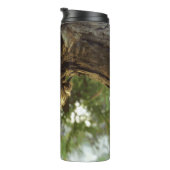 Cicada Muschel. Es war in Eile. Thermosbecher (Nach rechts gedreht)