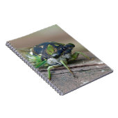 Cicada Notizblock (Rechte Seite)
