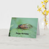 Cicada Photo Birthday Karte (Gelbe Blume)