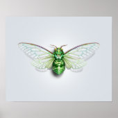 Cicada Poster (Vorne)
