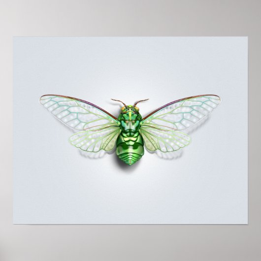 Cicada Poster (Vorne)