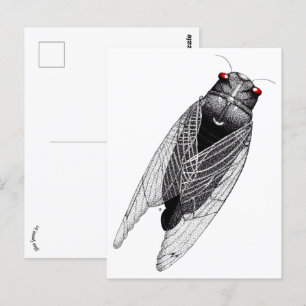 Cicada Postkarte