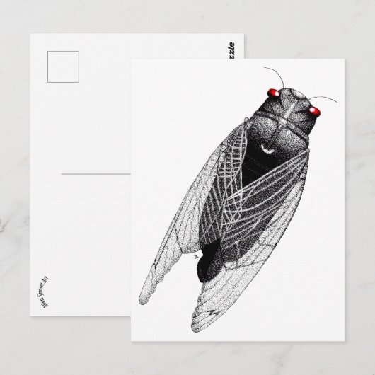 Cicada Postkarte (Vorne/Hinten)