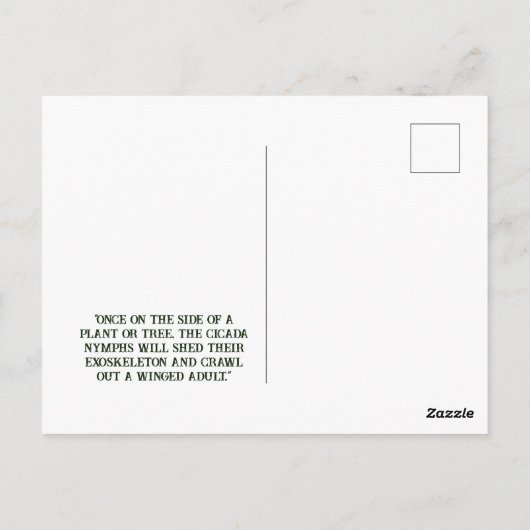 Cicada - Postkarte (Rückseite)