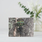 Cicada Postkarte (Stehend Vorderseite)