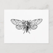 Cicada Postkarte (Vorderseite)
