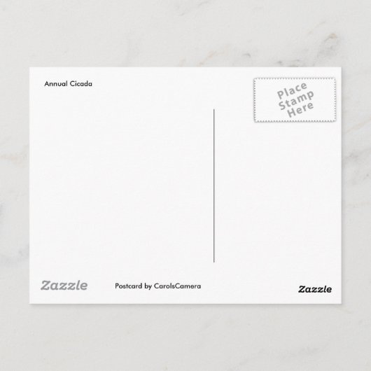 Cicada Postkarte (Rückseite)